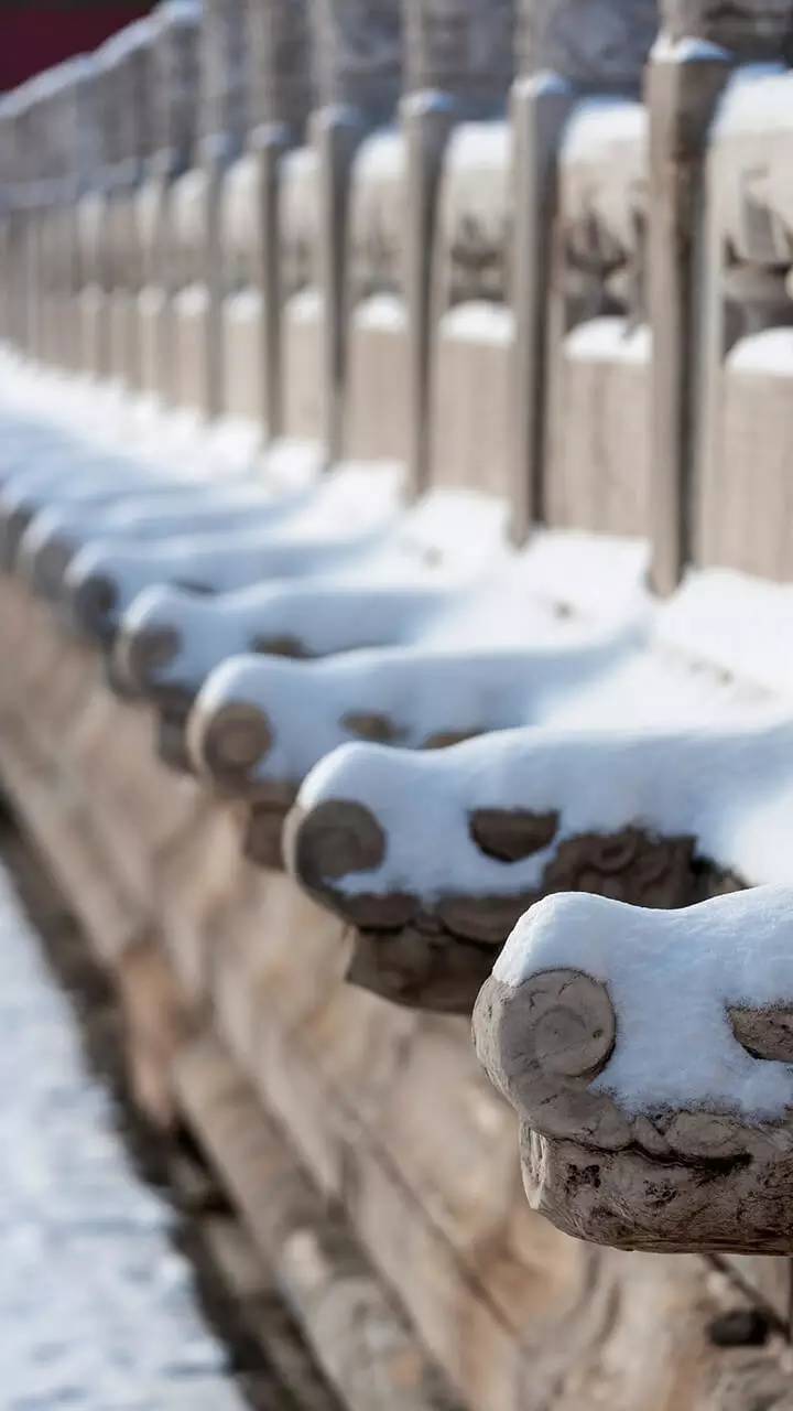 最美中國古建筑：紫禁城下雪了！