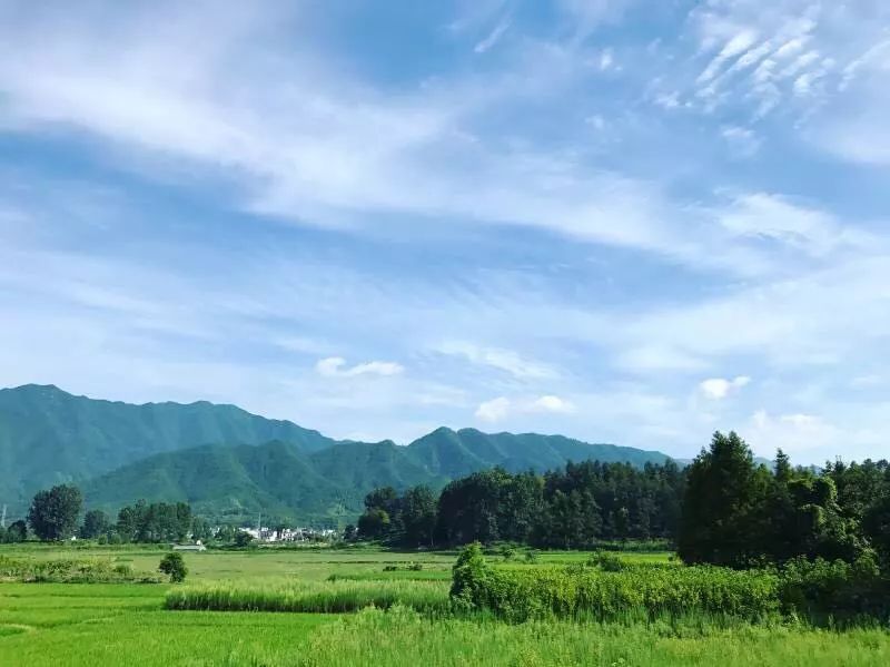 黃山·東田別野，日出而作日落而息的時光野