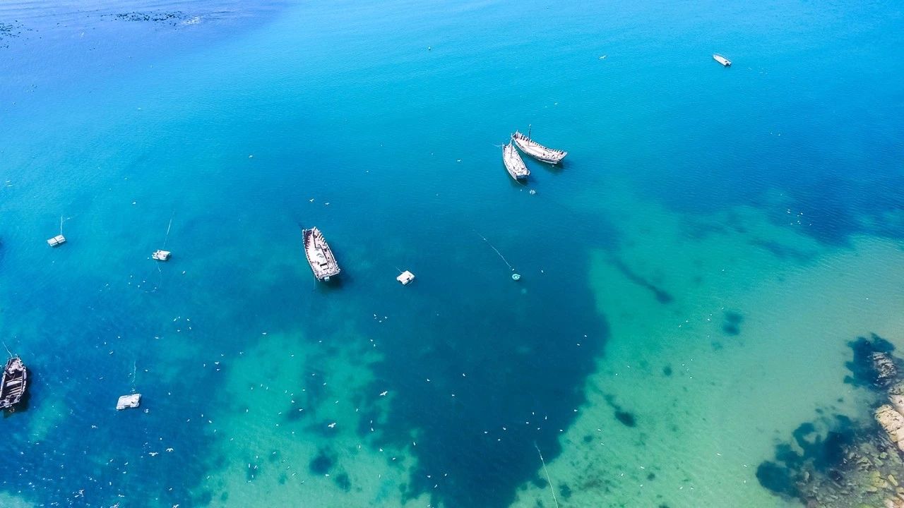 青島·瑞宿海棲，等你來就讓瑞宿帶你環(huán)游青島