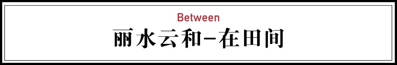 麗水云和·在田間，中國傳統(tǒng)水墨山水的意境