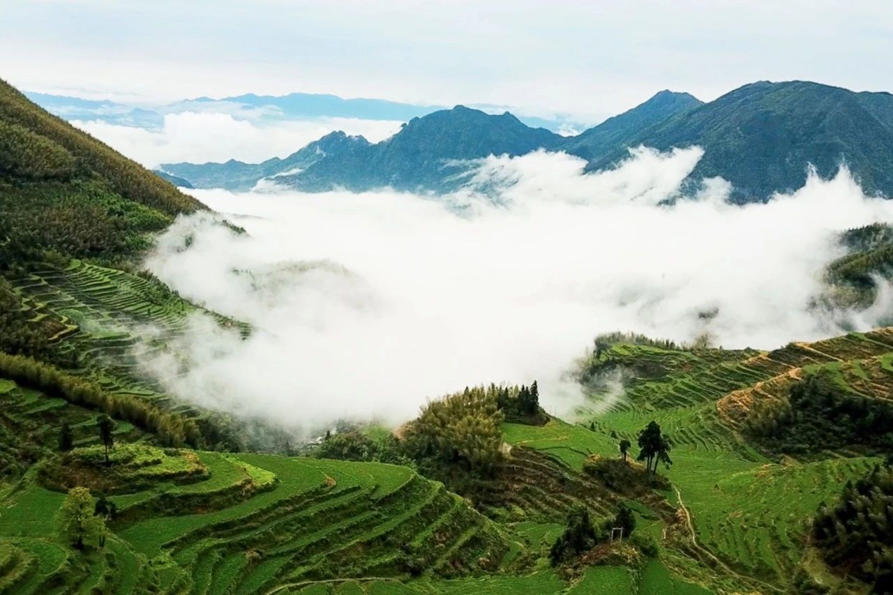 麗水云和·在田間，中國傳統(tǒng)水墨山水的意境