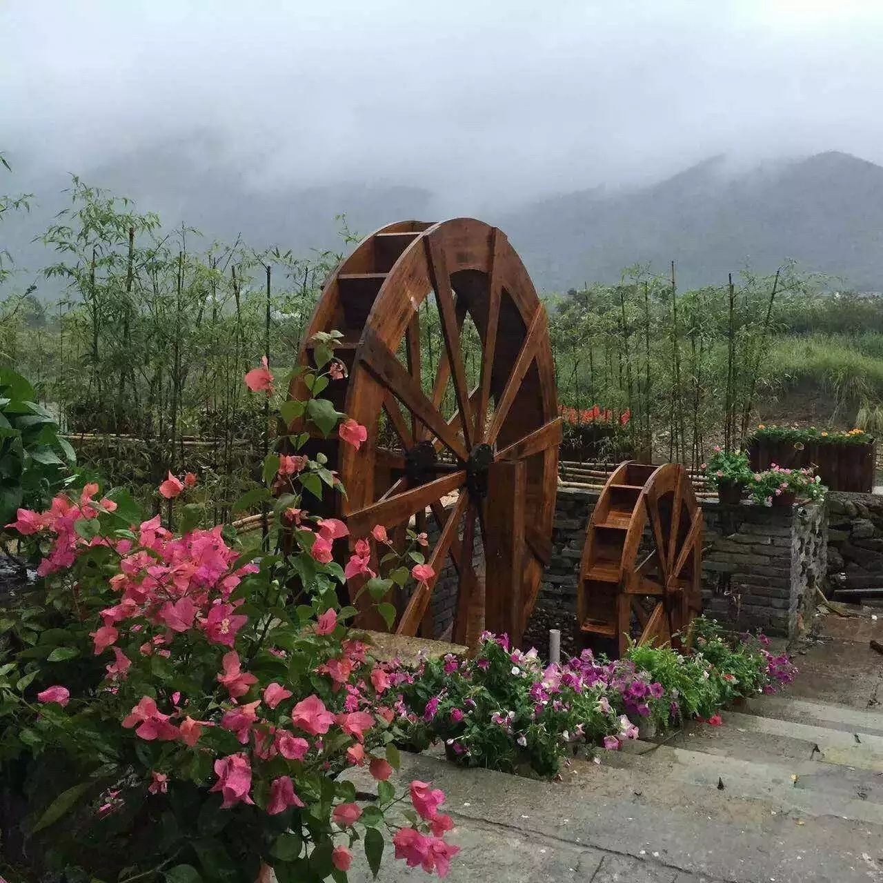 寧波·花雨醉，品花間一壺酒聽雨后醉朦朧