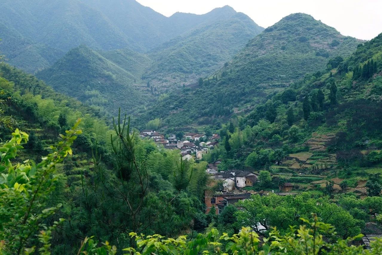 村上酒舍，體驗古村生活一起慢慢變老