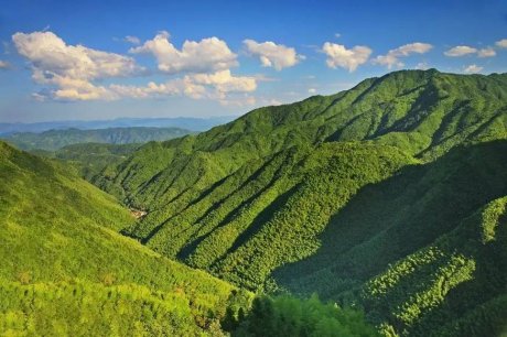 竹里云溪民宿設(shè)計，回歸田園