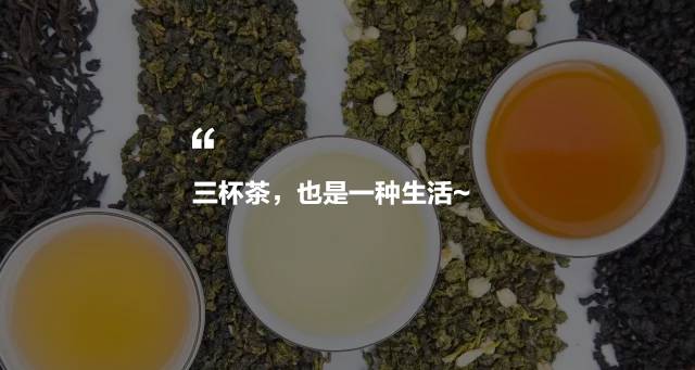 烏龍先生，用心做好茶發(fā)揚(yáng)博大精深的茶文化