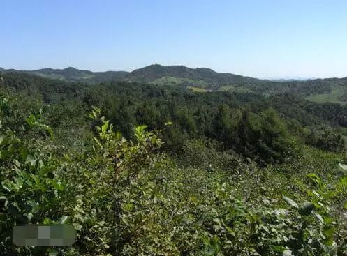 長白山余脈在昌圖，三省交界風(fēng)景最美地