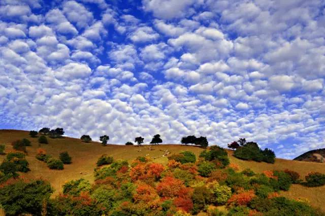 十處優(yōu)美的山水風(fēng)景，錦繡山河如詩(shī)如畫(huà)！