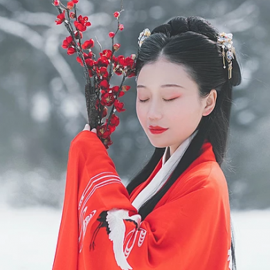 紅梅白雪彈琴女生頭像，唯美古風(fēng)真人頭像